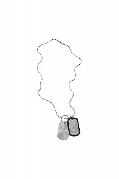 画像1: DIESEL Dx1553040 jewelStainless Steel Dog Tag Necklace ディーゼル ネックレス (1)