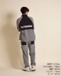 画像15: THE SWINGGGR　FREEZE ZIP BZ, GRAY (15)