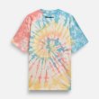 画像3: inBetweeners Tie Dye Bear T-Shirt (3)